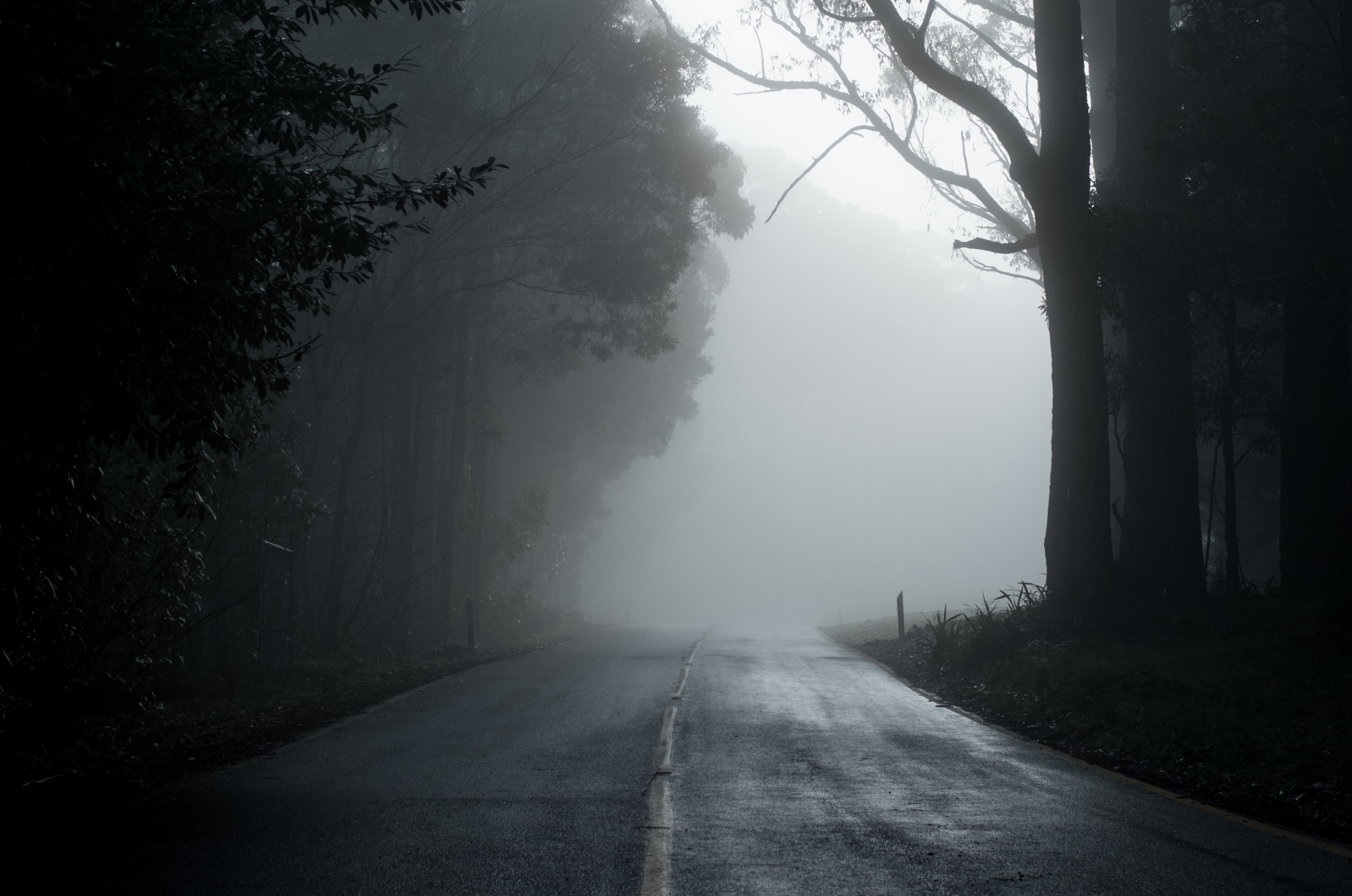 Край никуда. Мрачный пейзаж. Мрачный фон. Дорога в тумане. Лес туман дорога.